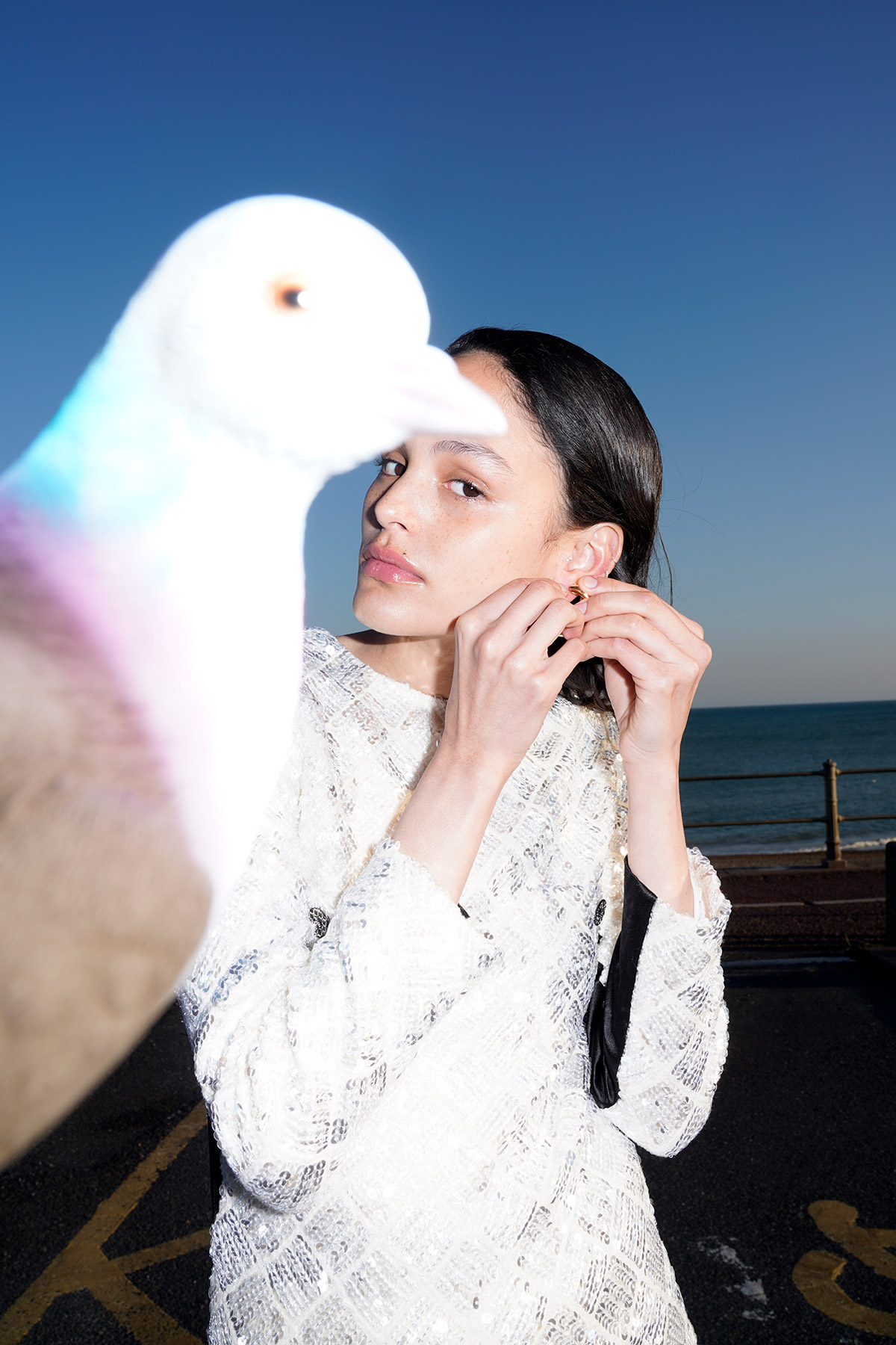 Tank | Foreground Attraction