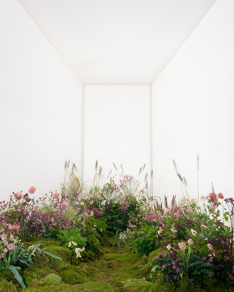 Pangaia | Uniform 2.0