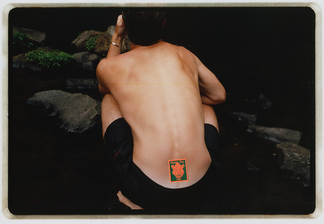 POSTCARDS FROM HAWAII