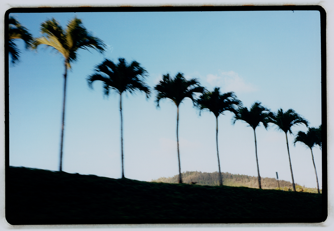 POSTCARDS FROM HAWAII