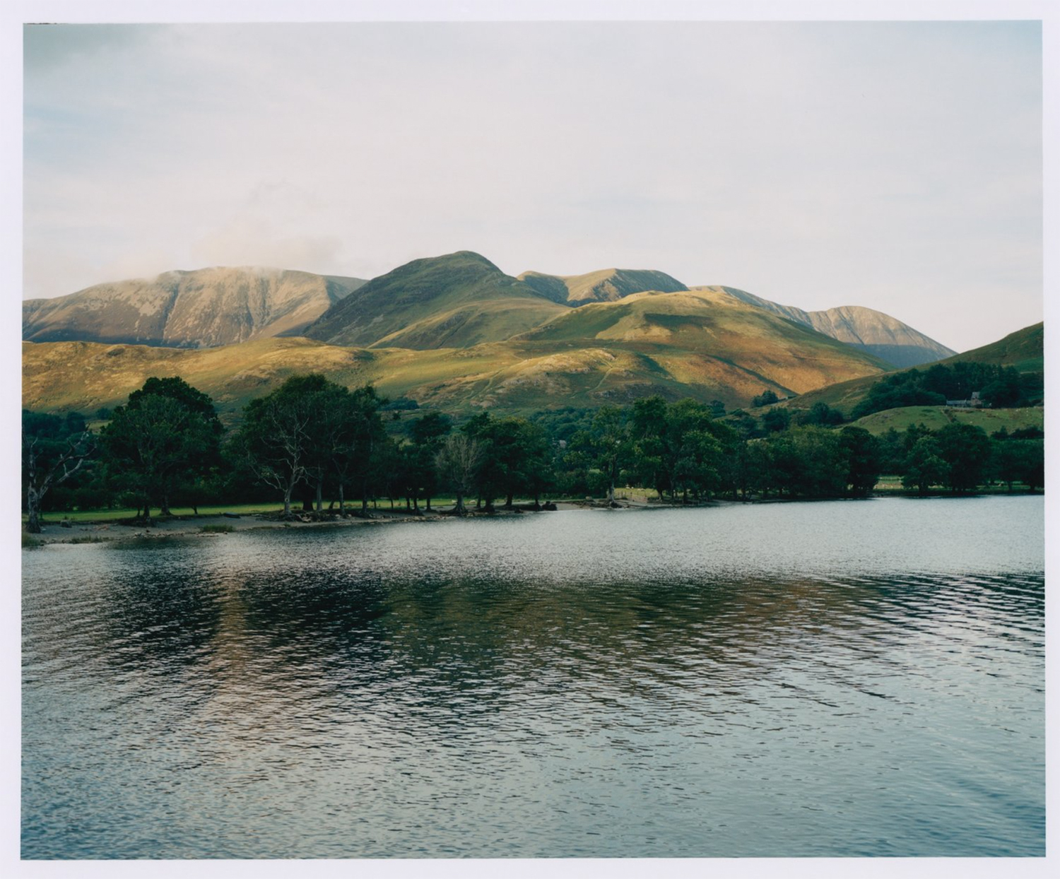 LANDSCAPE