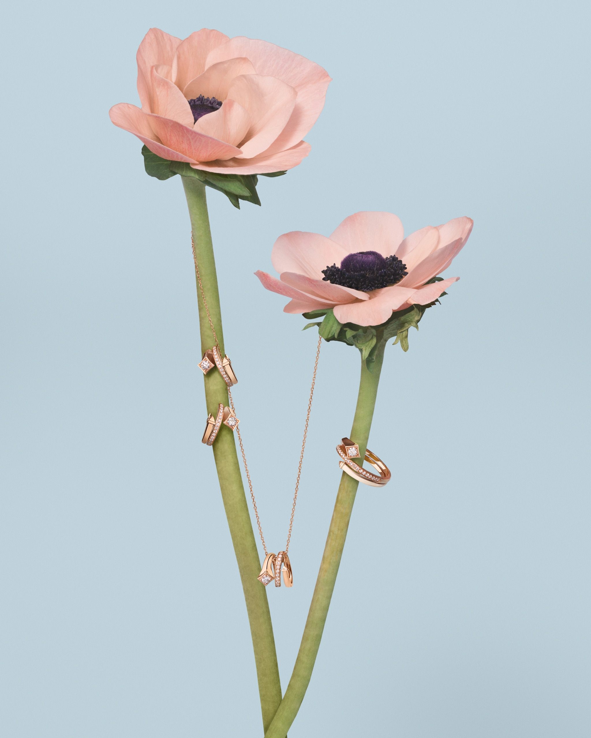 DE BEERS | FOREVERMARK