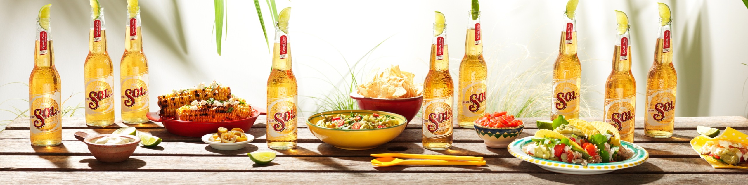 HEINEKEN | SOL