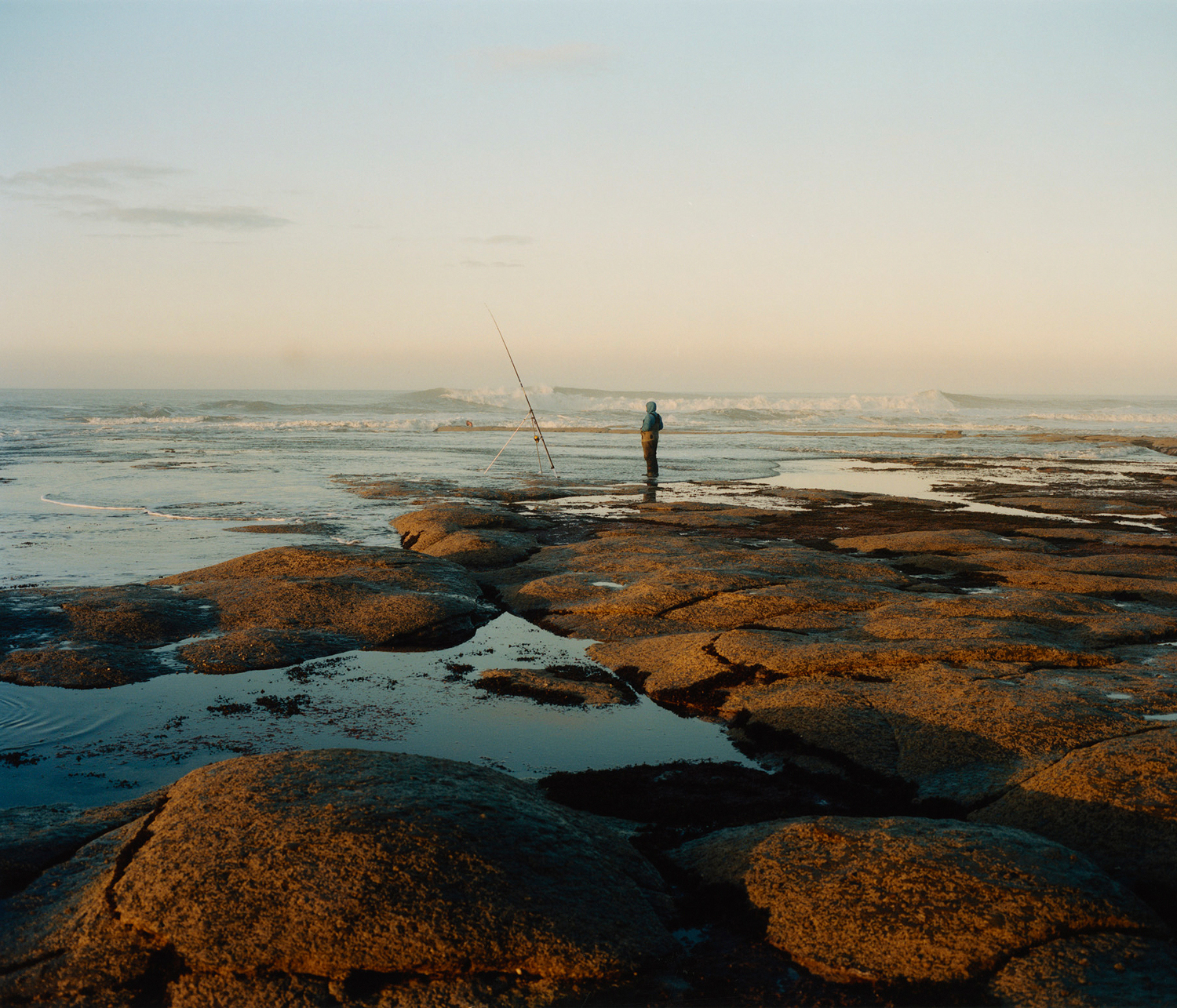 LANDSCAPE