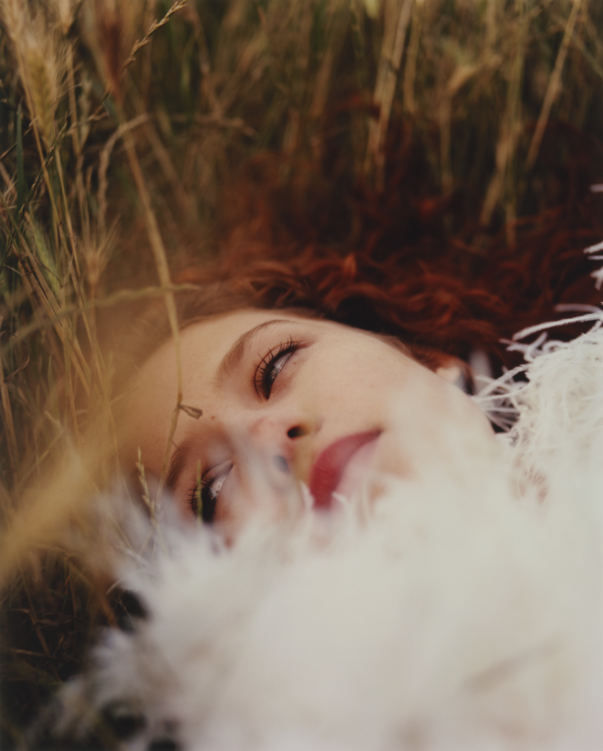Wonderland | Let her Jump