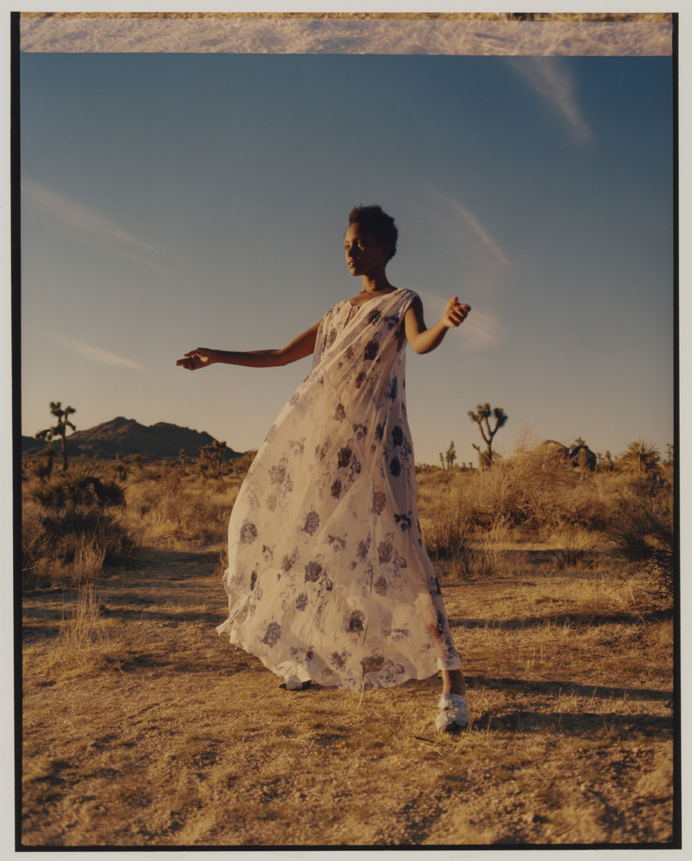 In the Desert
