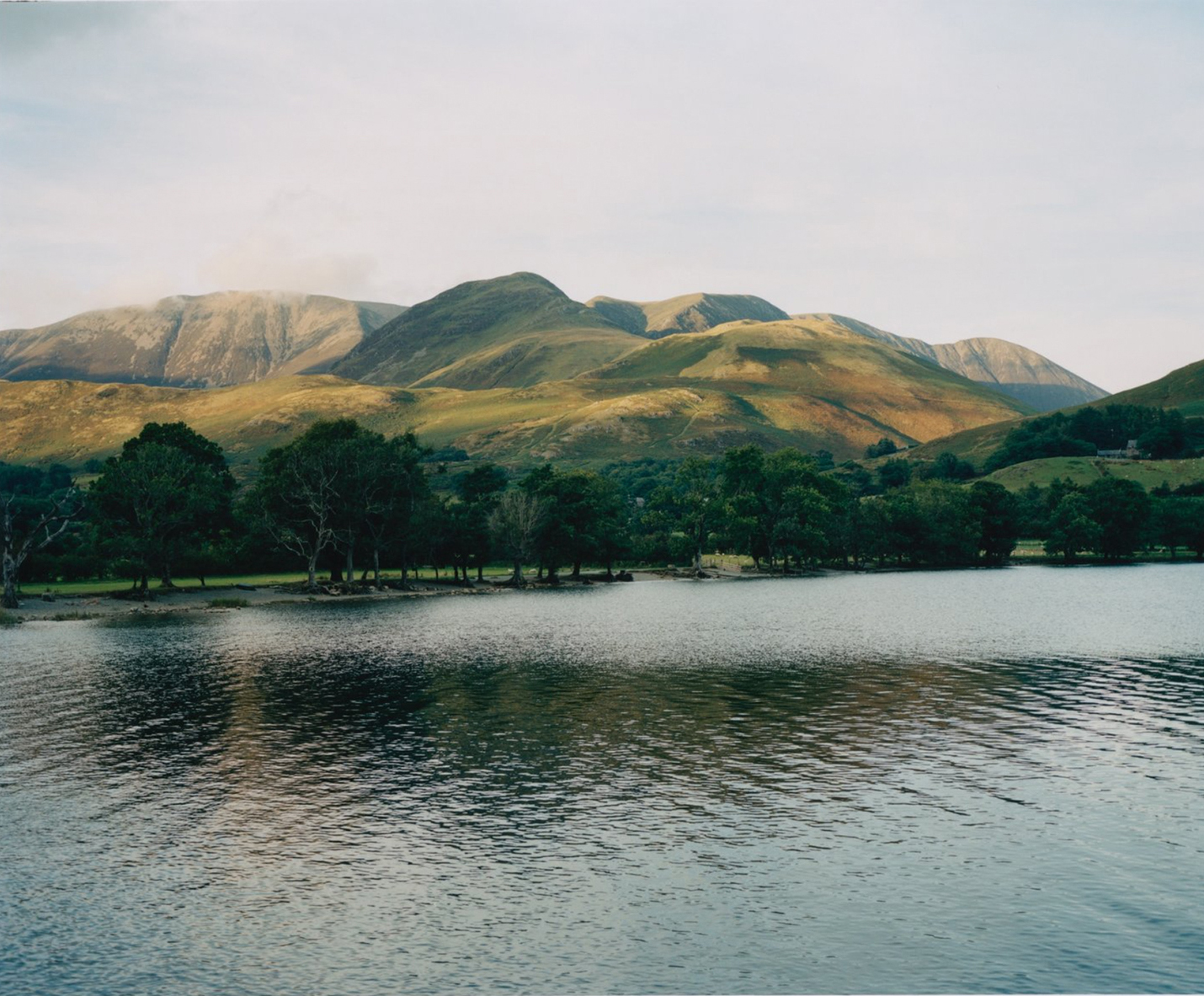 Landscape