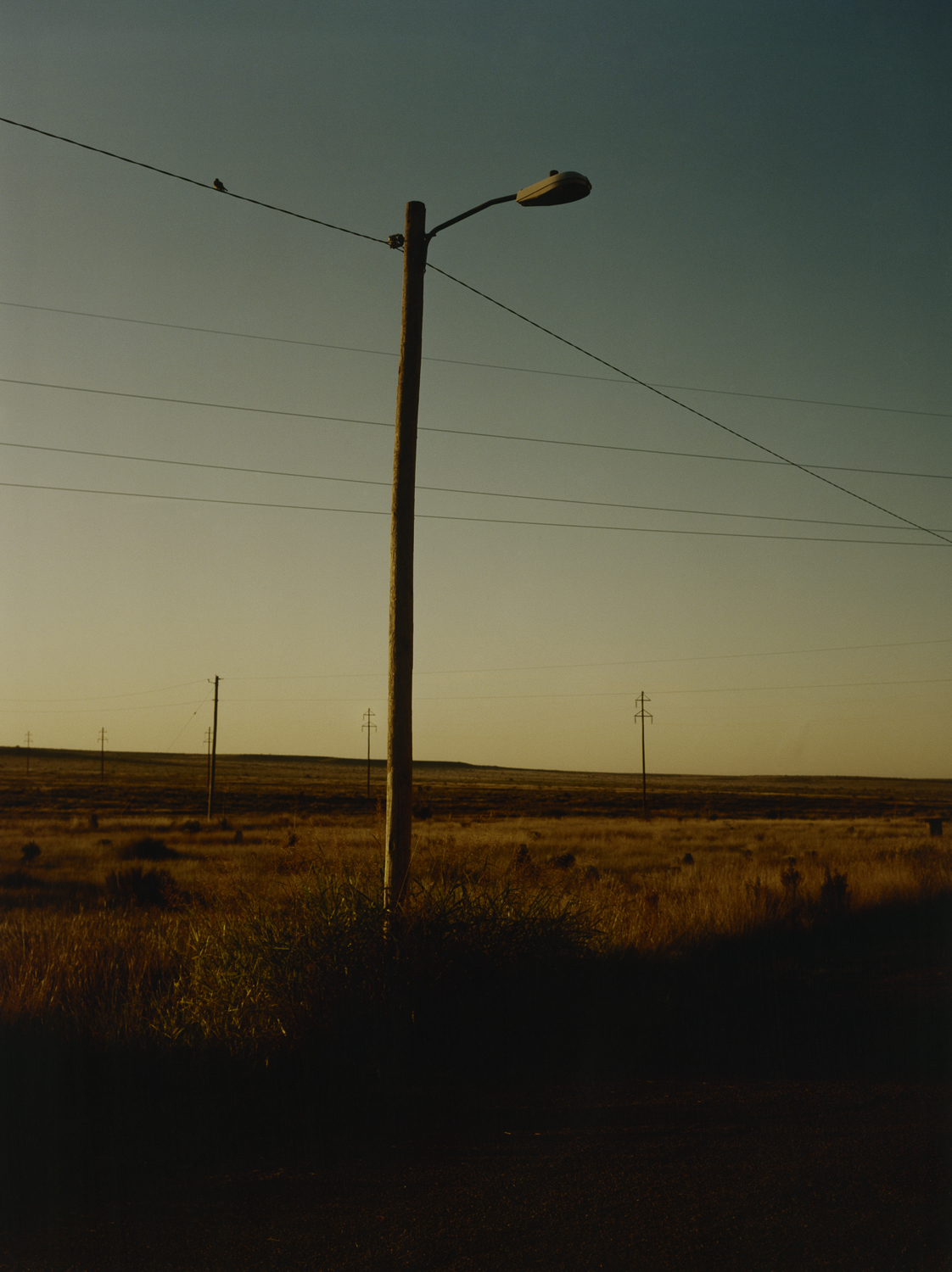 Wrangler | Texas