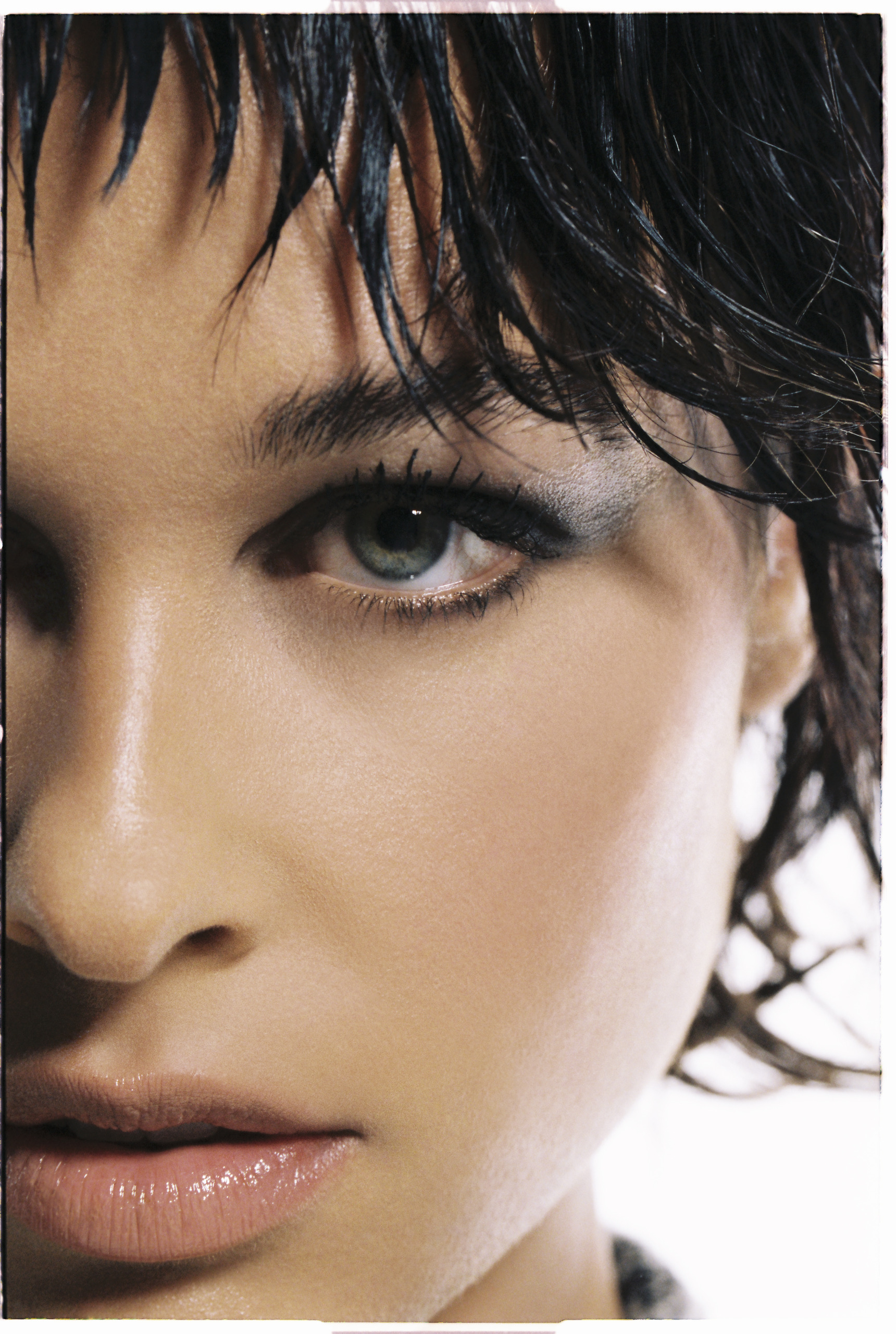 Paradise Files | Sarah Lysander