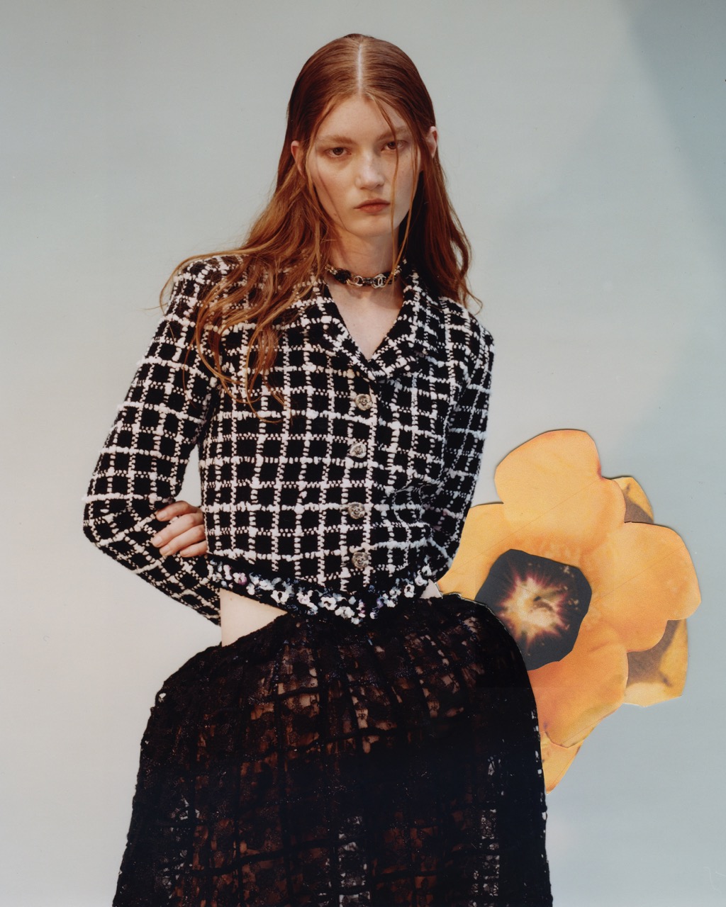 Grazia | Collections
