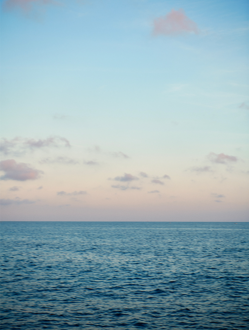 Cloe Cassandro | High Summer