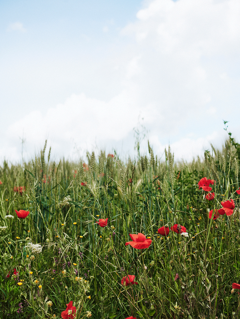 Silk Laundry | Steffi Cook 2