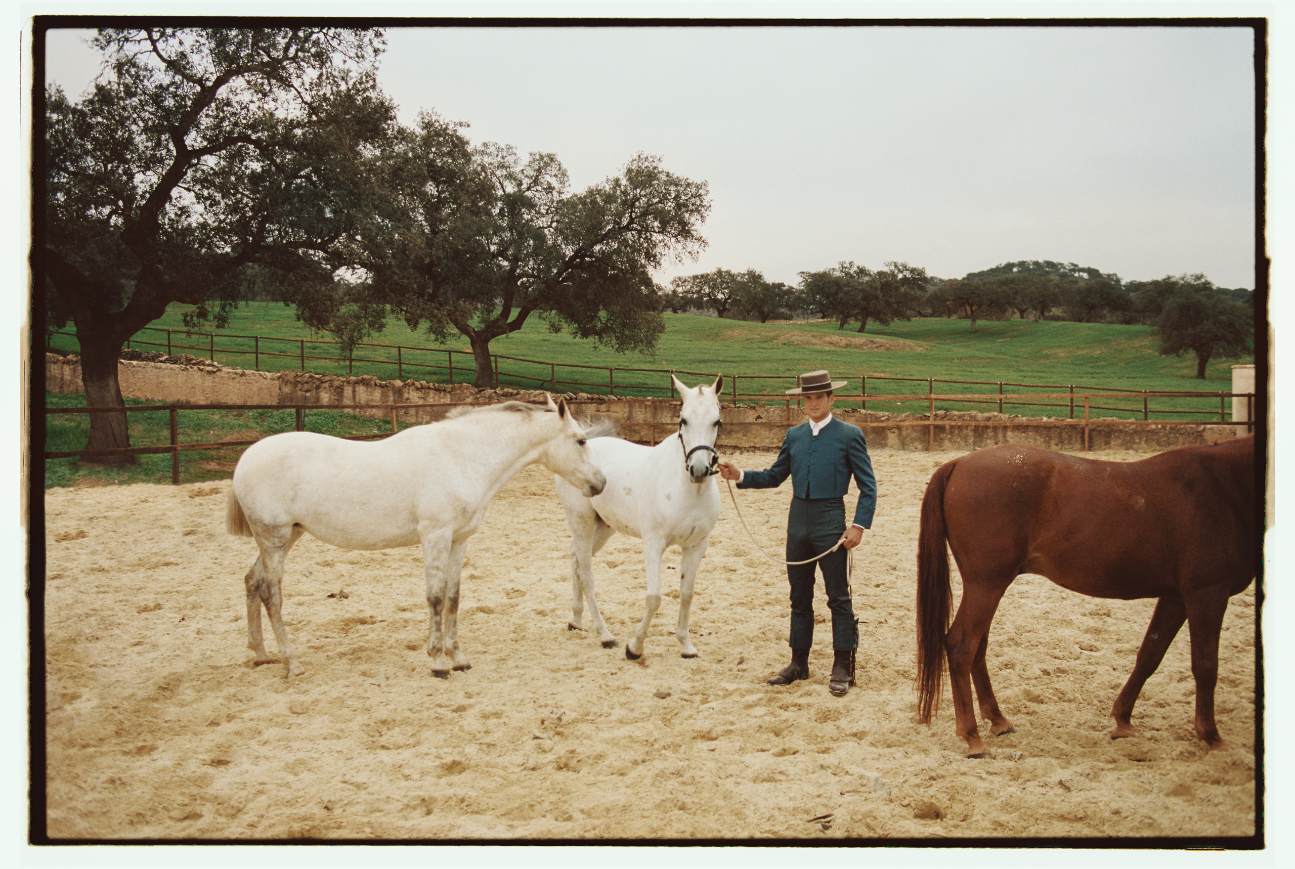 Country & Townhouse