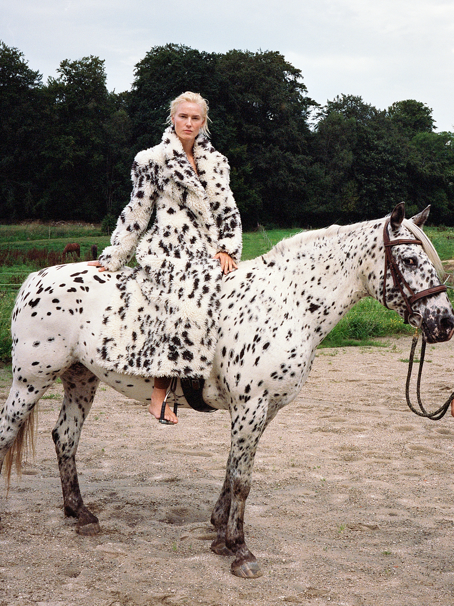 Børsen pleasure | Amanda Collin