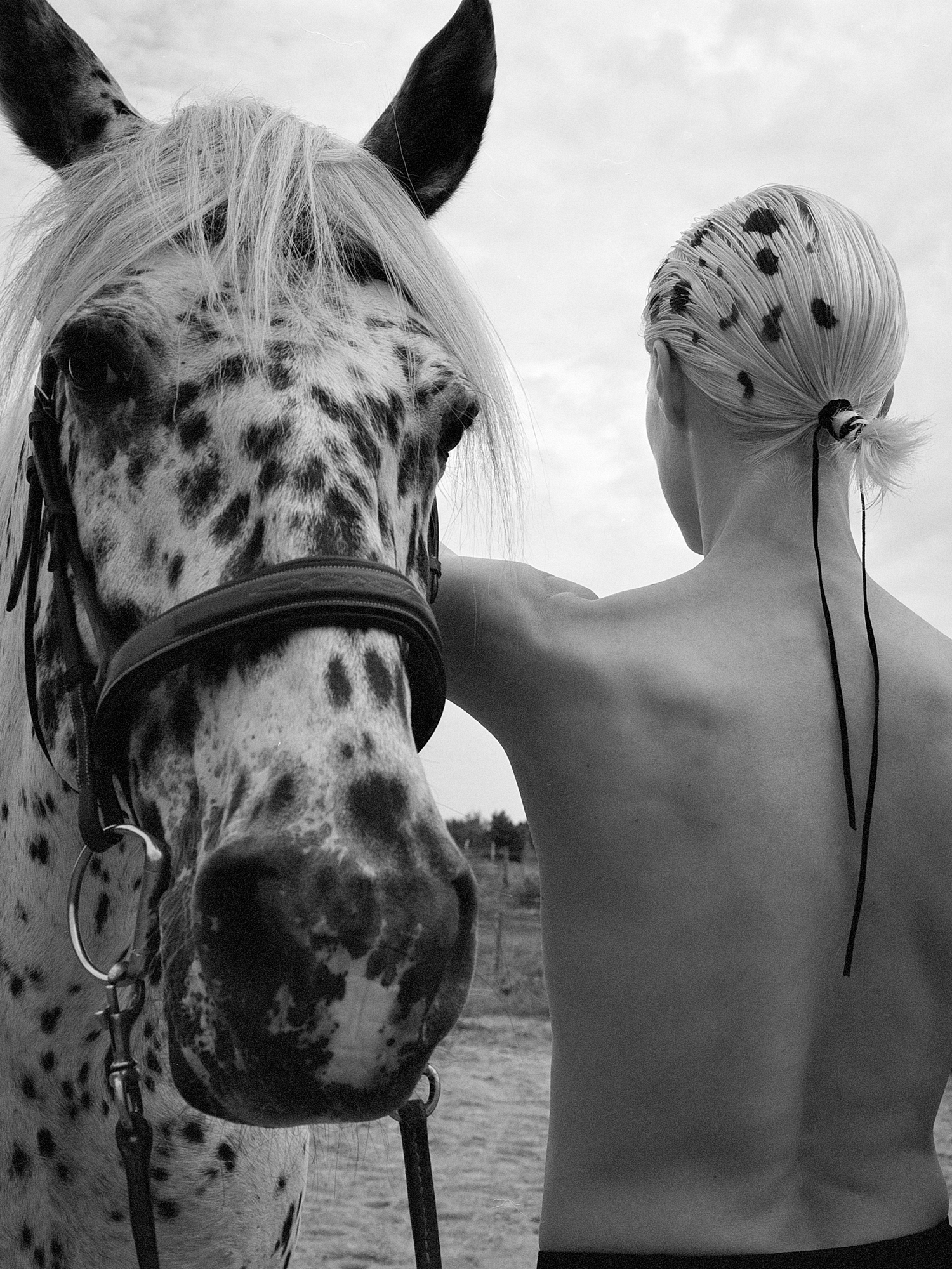 Børsen pleasure | Amanda Collin