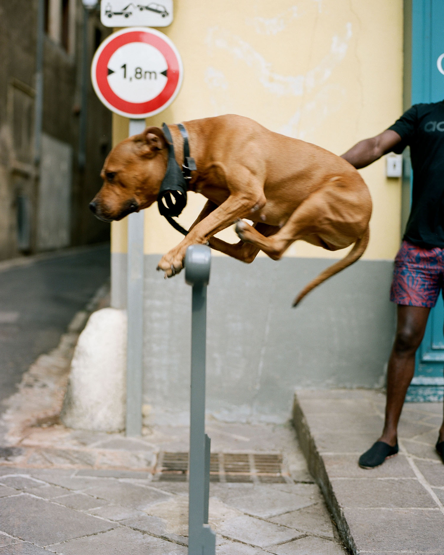 The Face | Dans Le Sud