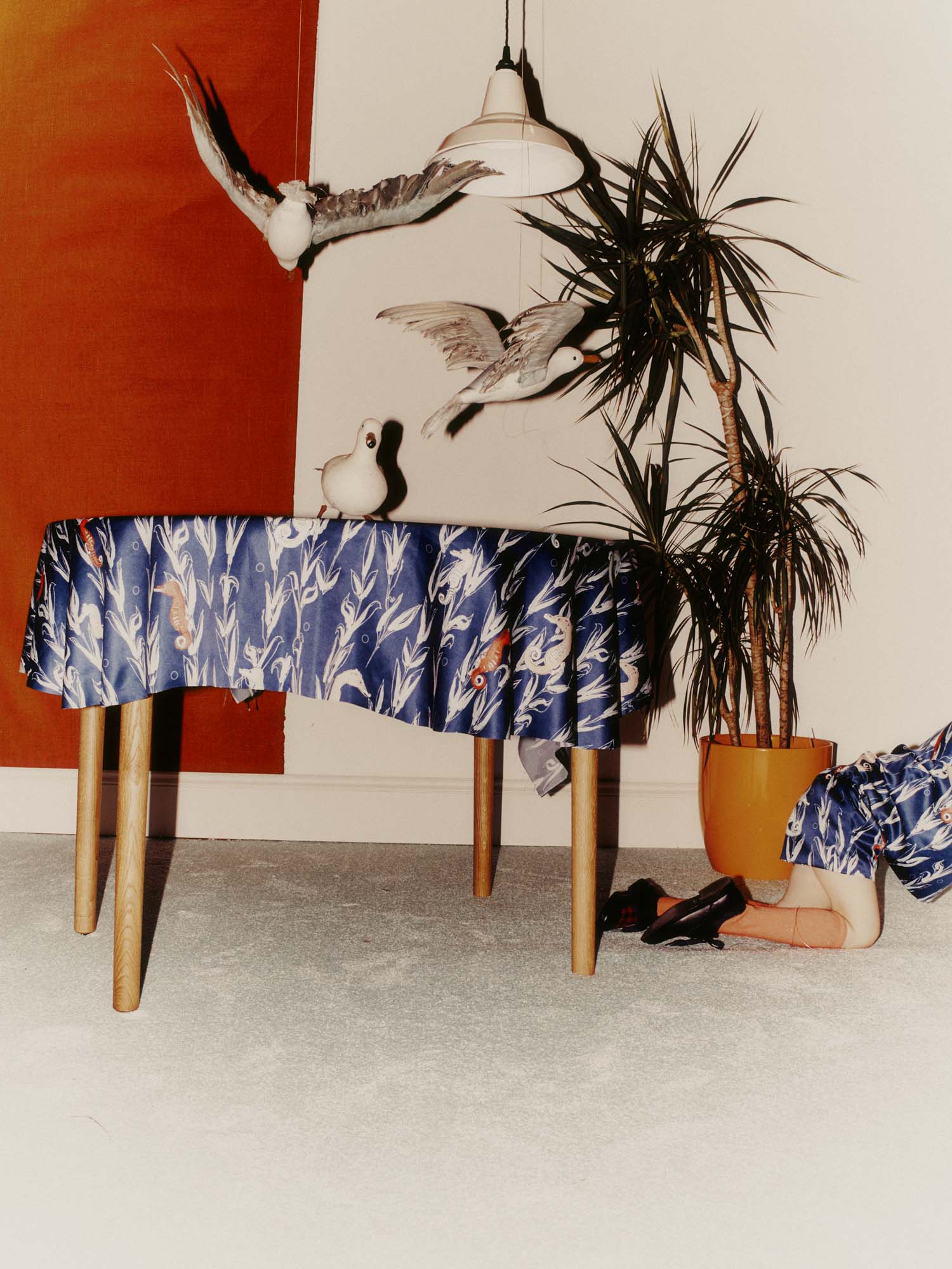 Hide & Seek