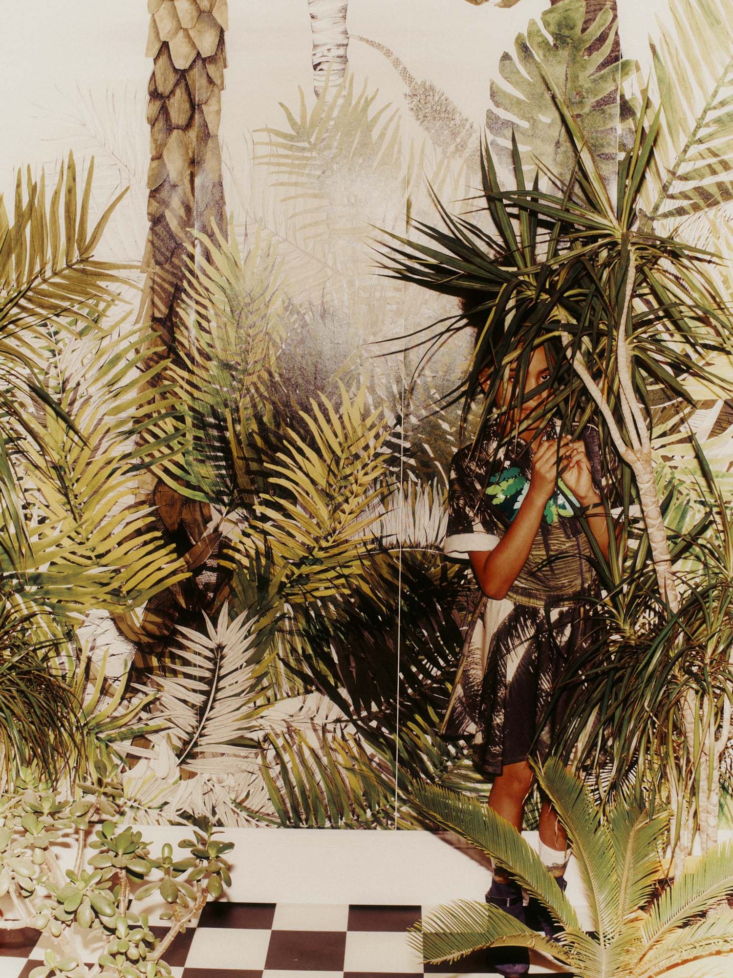 Hide & Seek