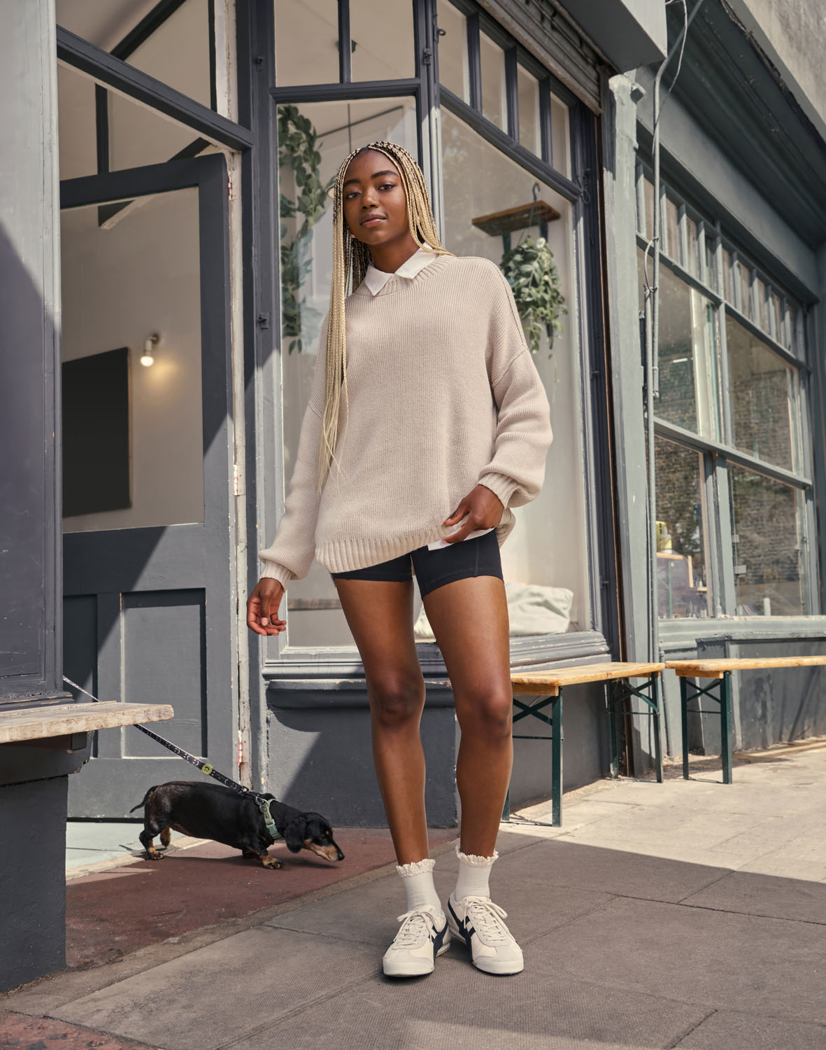 Hollister AW24