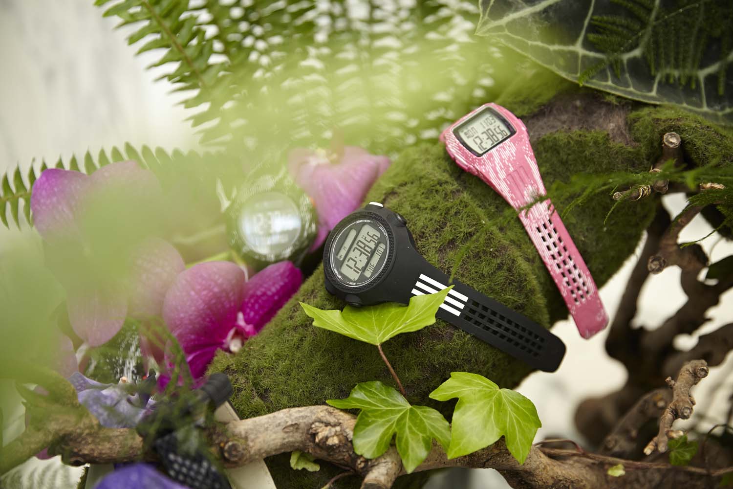 Fossil Watches Event