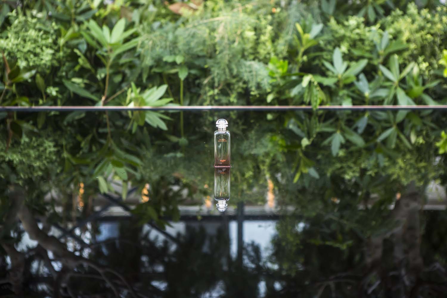 Hermès | Un Jardin sur la Lagune Event