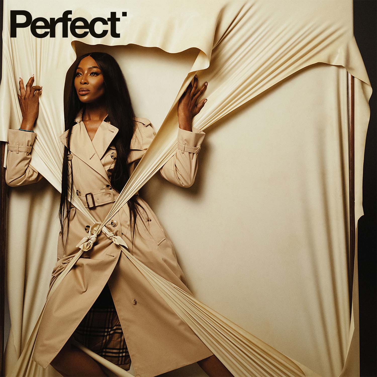 Perfect Magazine | Naomi Campbell