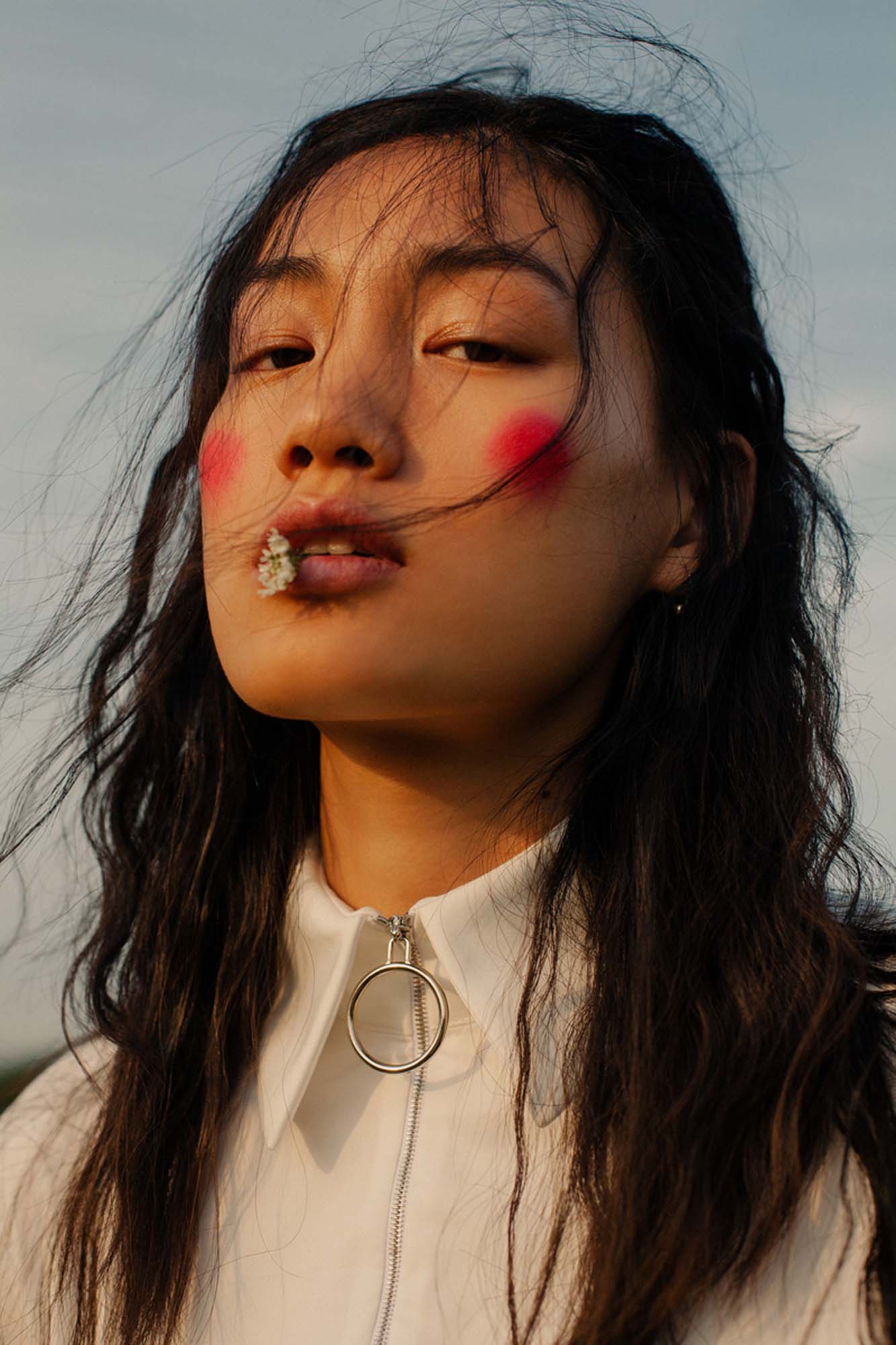 Petrie Magazine