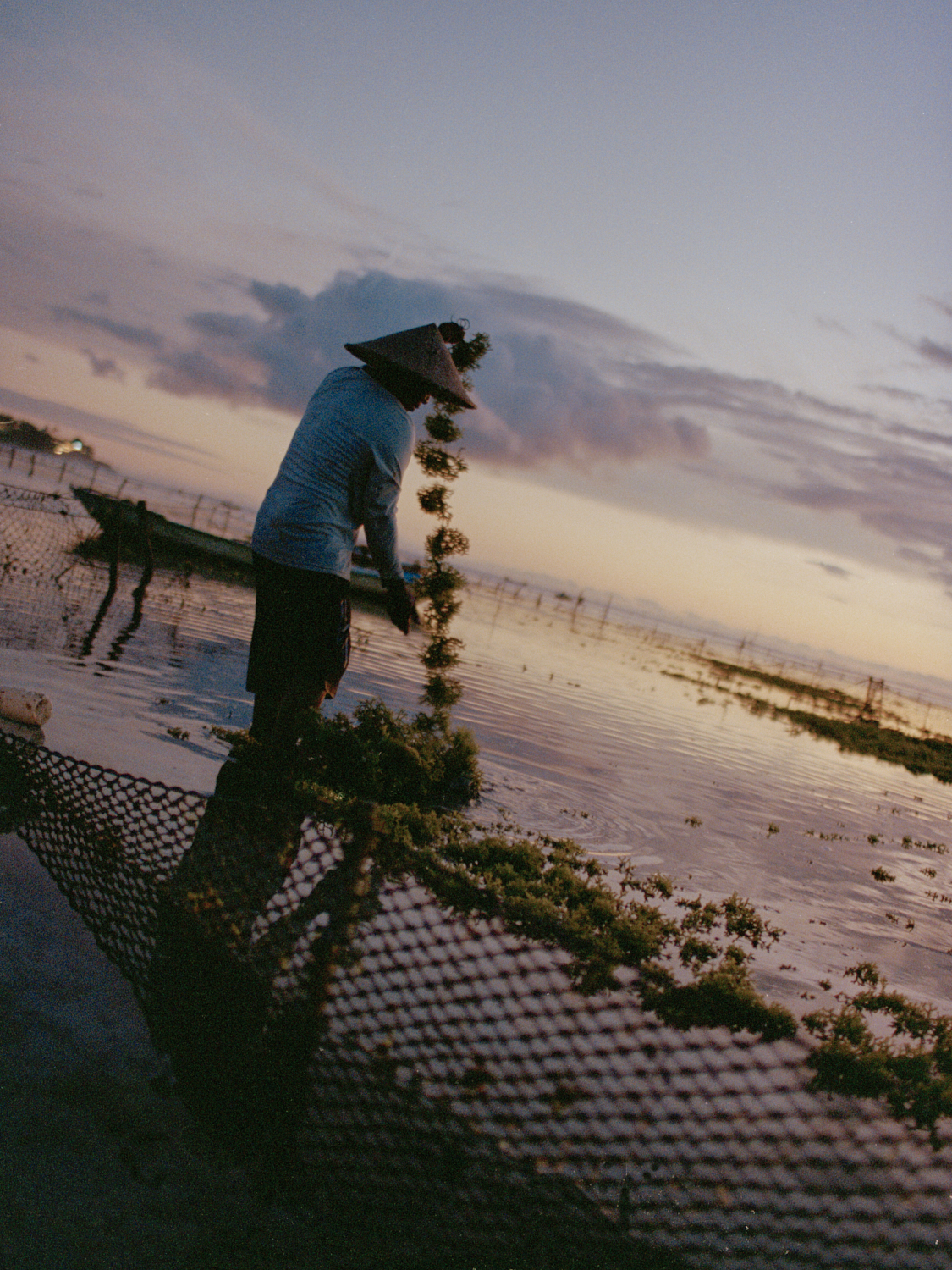 Resilient Harvest