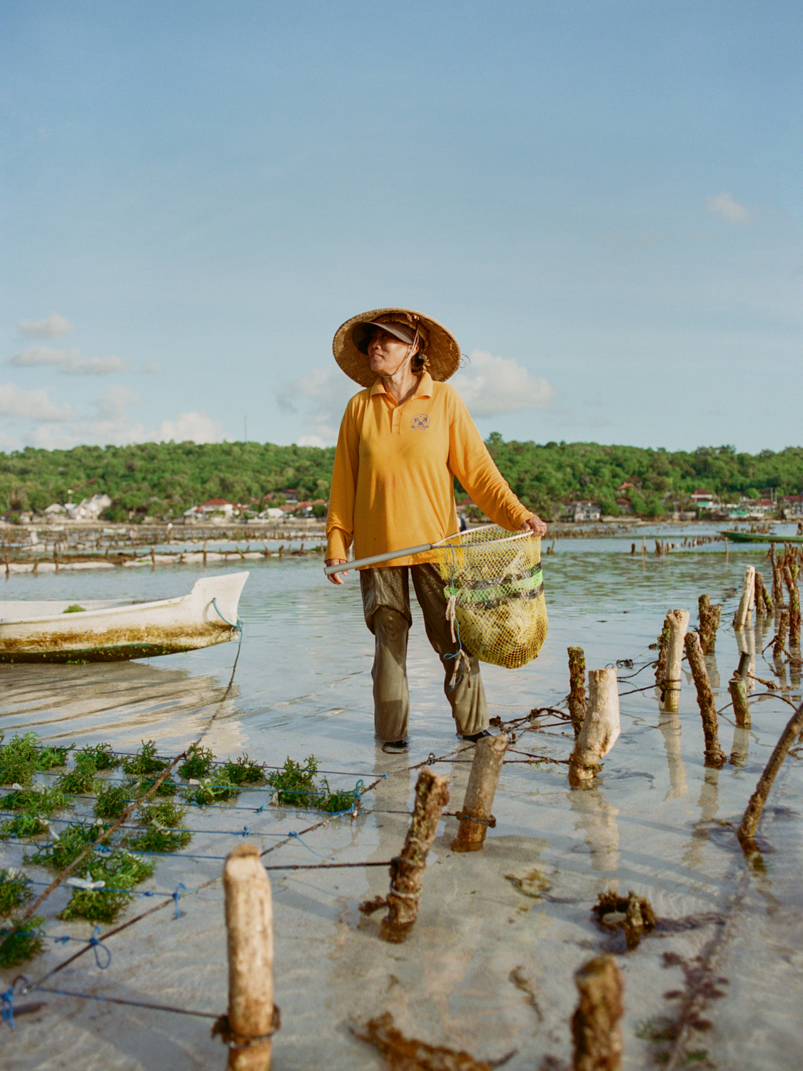 Resilient Harvest