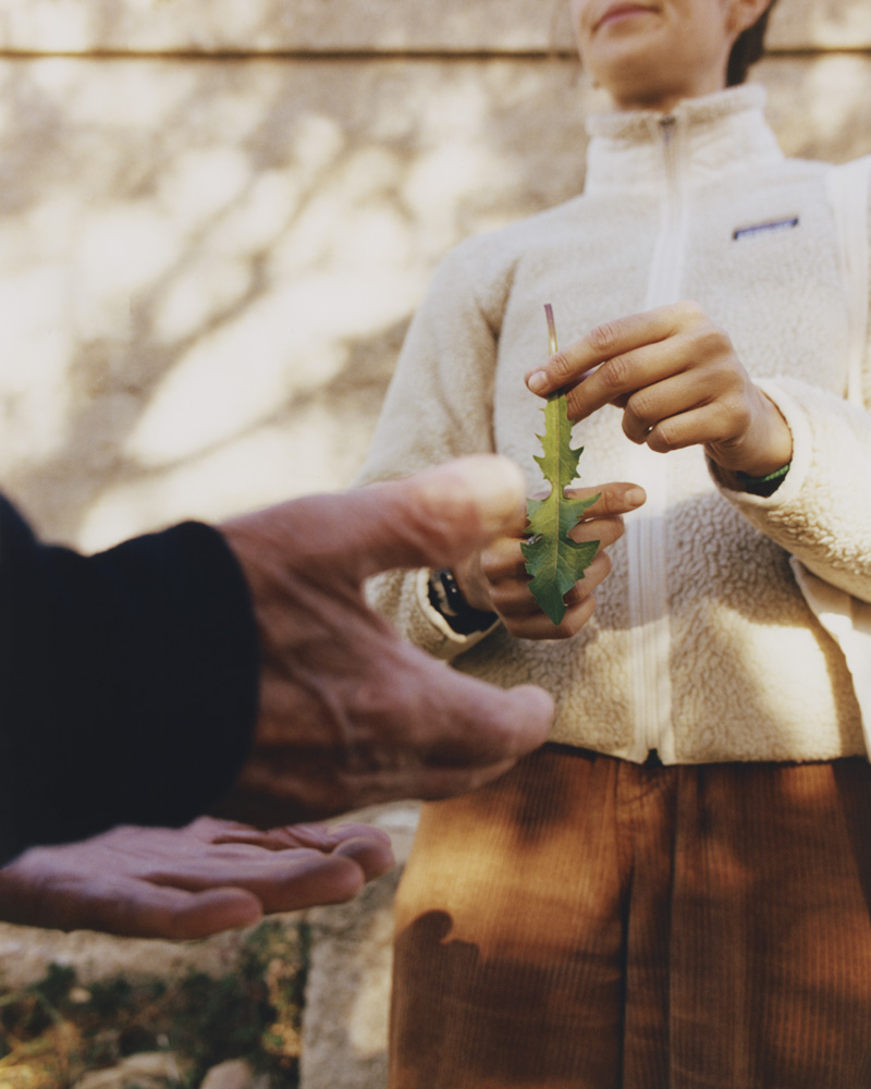Towards New Food Futures