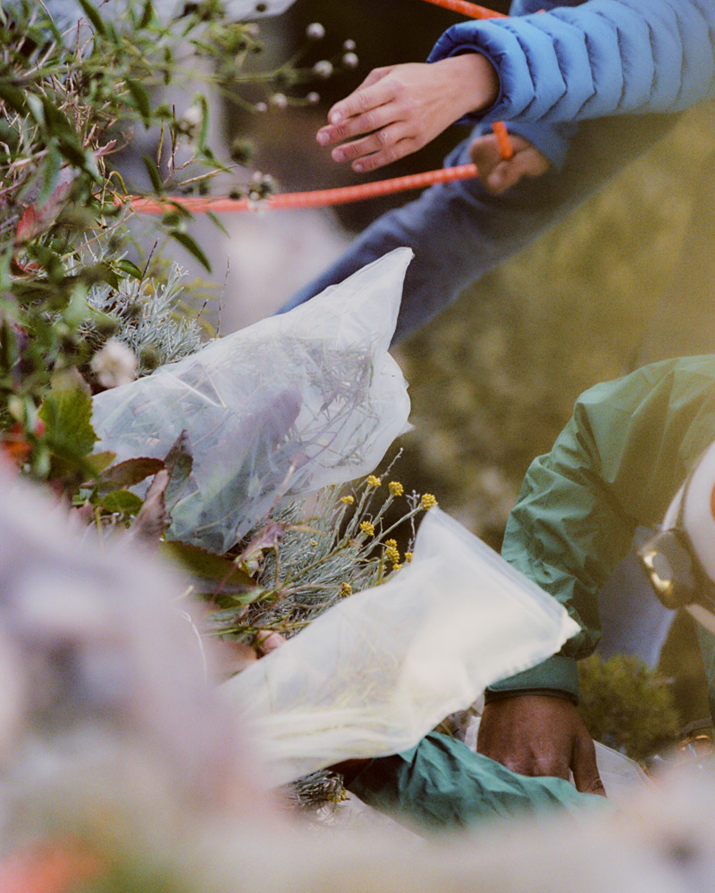 Towards New Food Futures