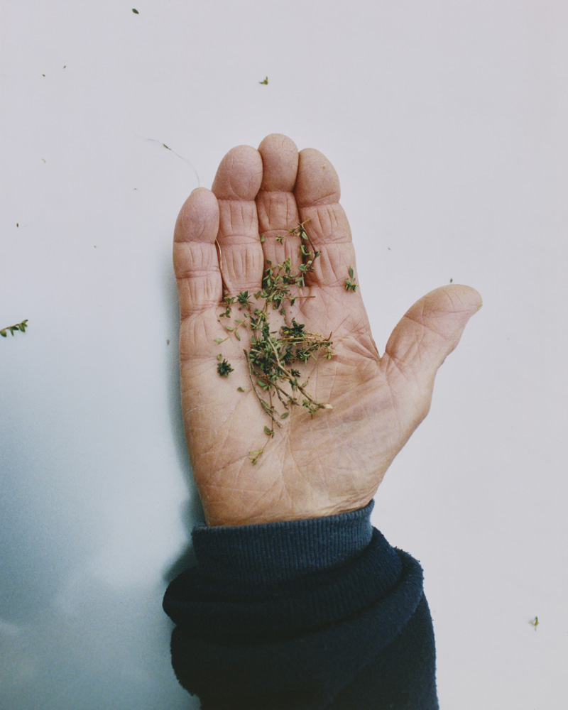 Towards New Food Futures