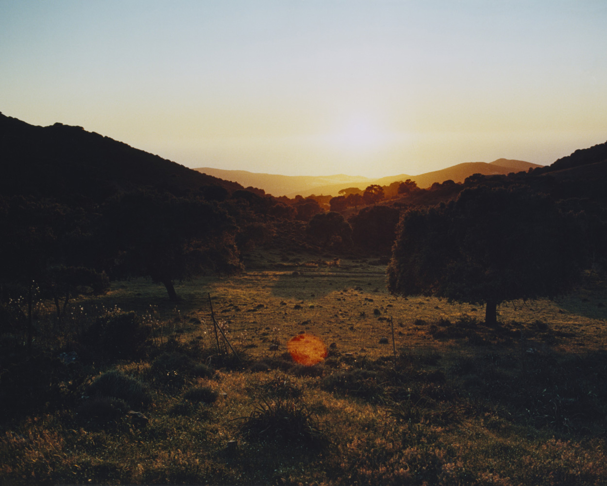 Towards New Food Futures