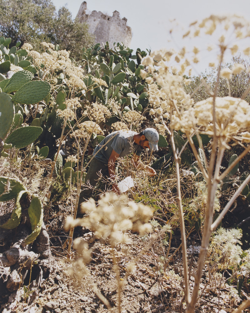 Towards New Food Futures
