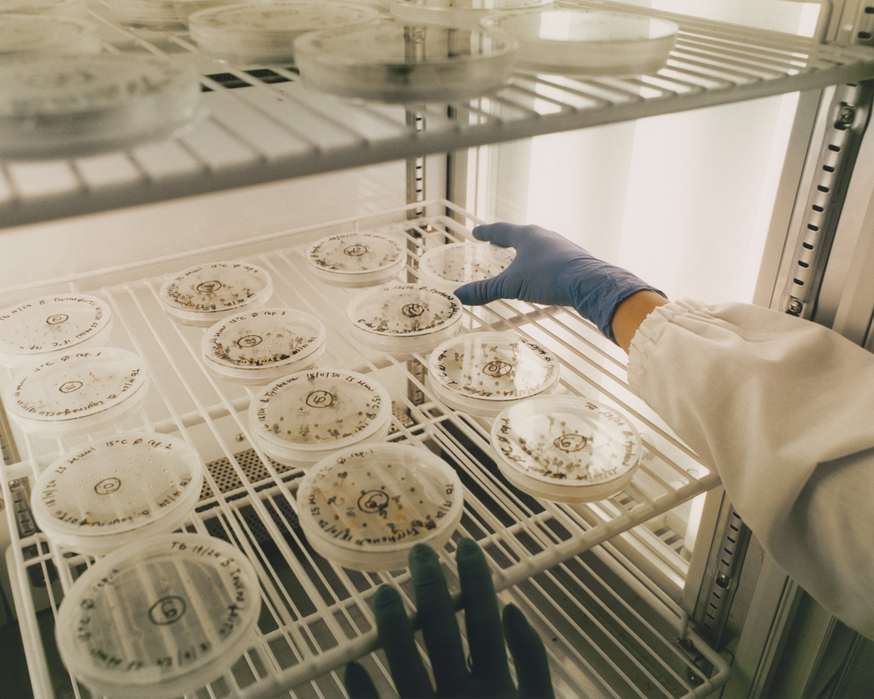 Towards New Food Futures