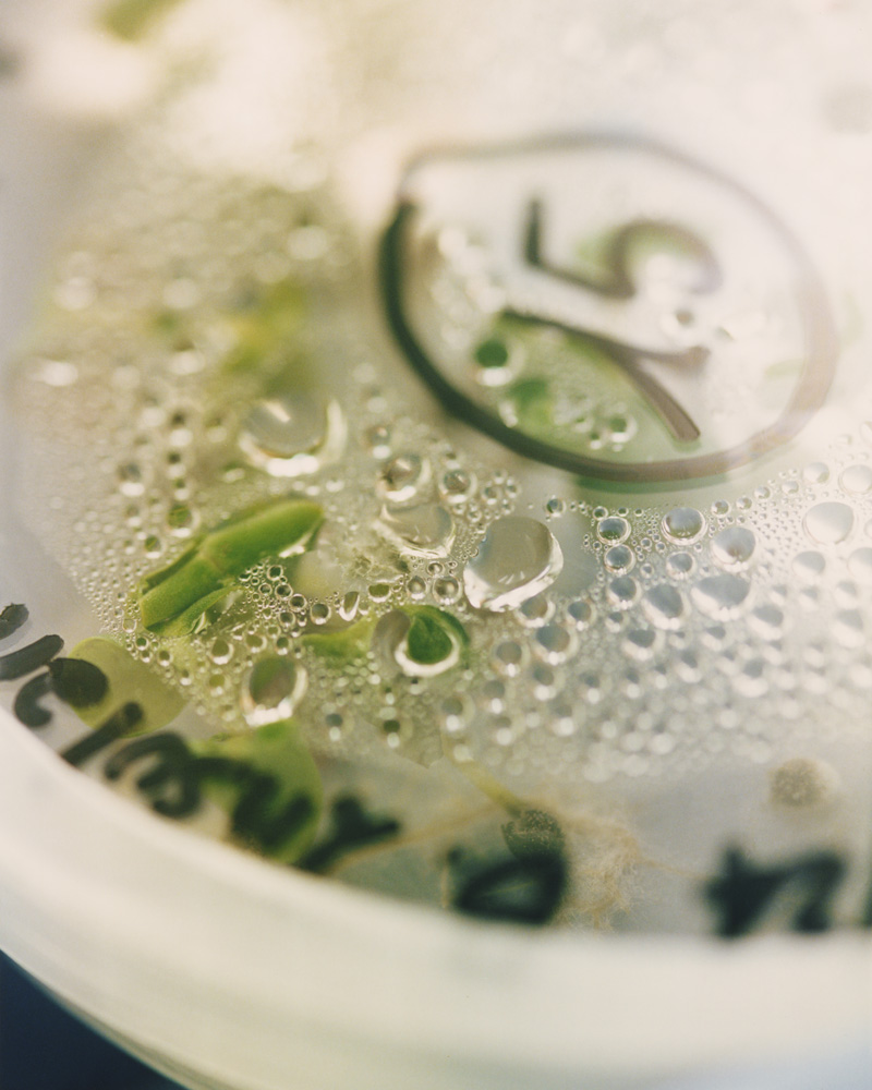 Towards New Food Futures