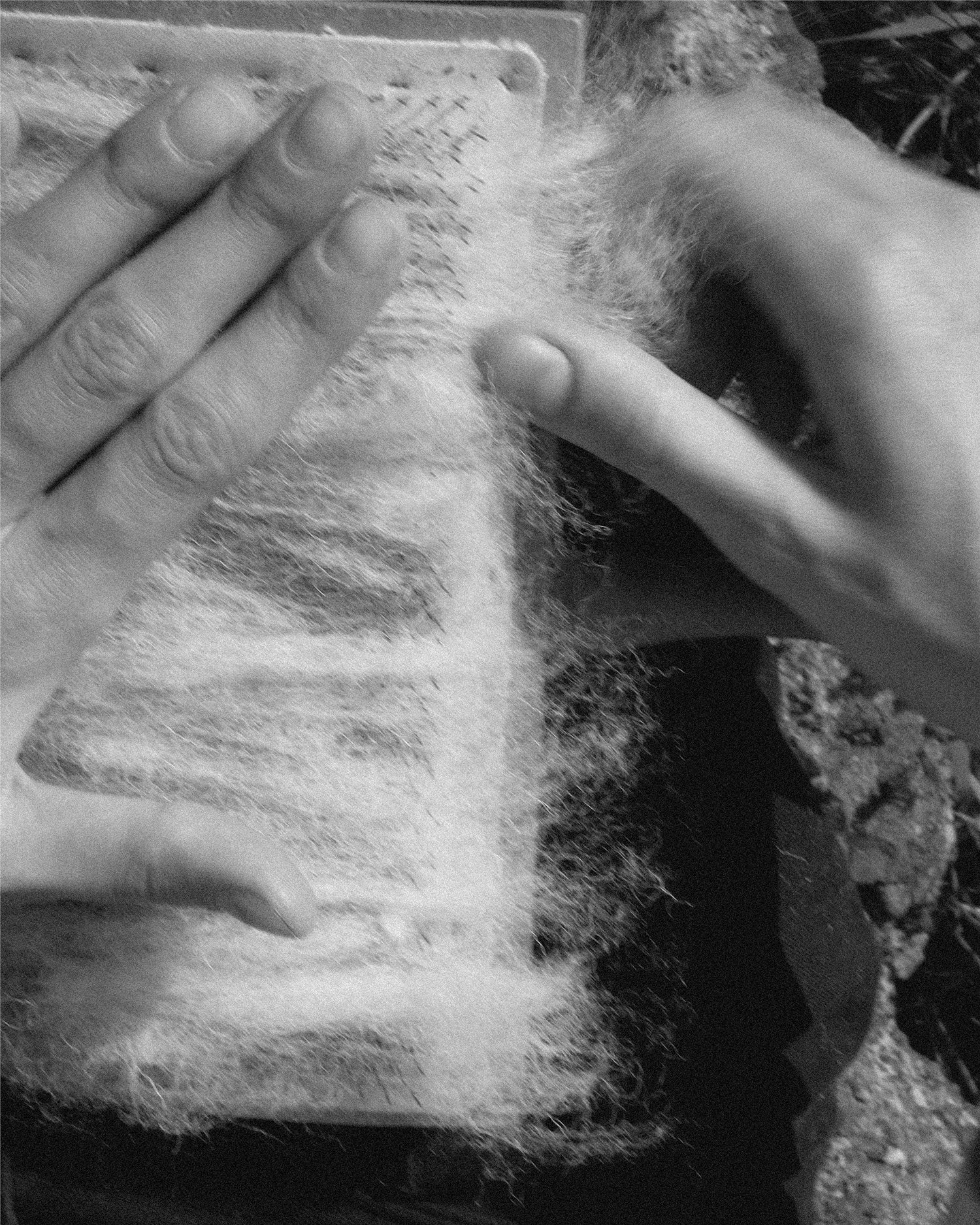 Emilia Felting