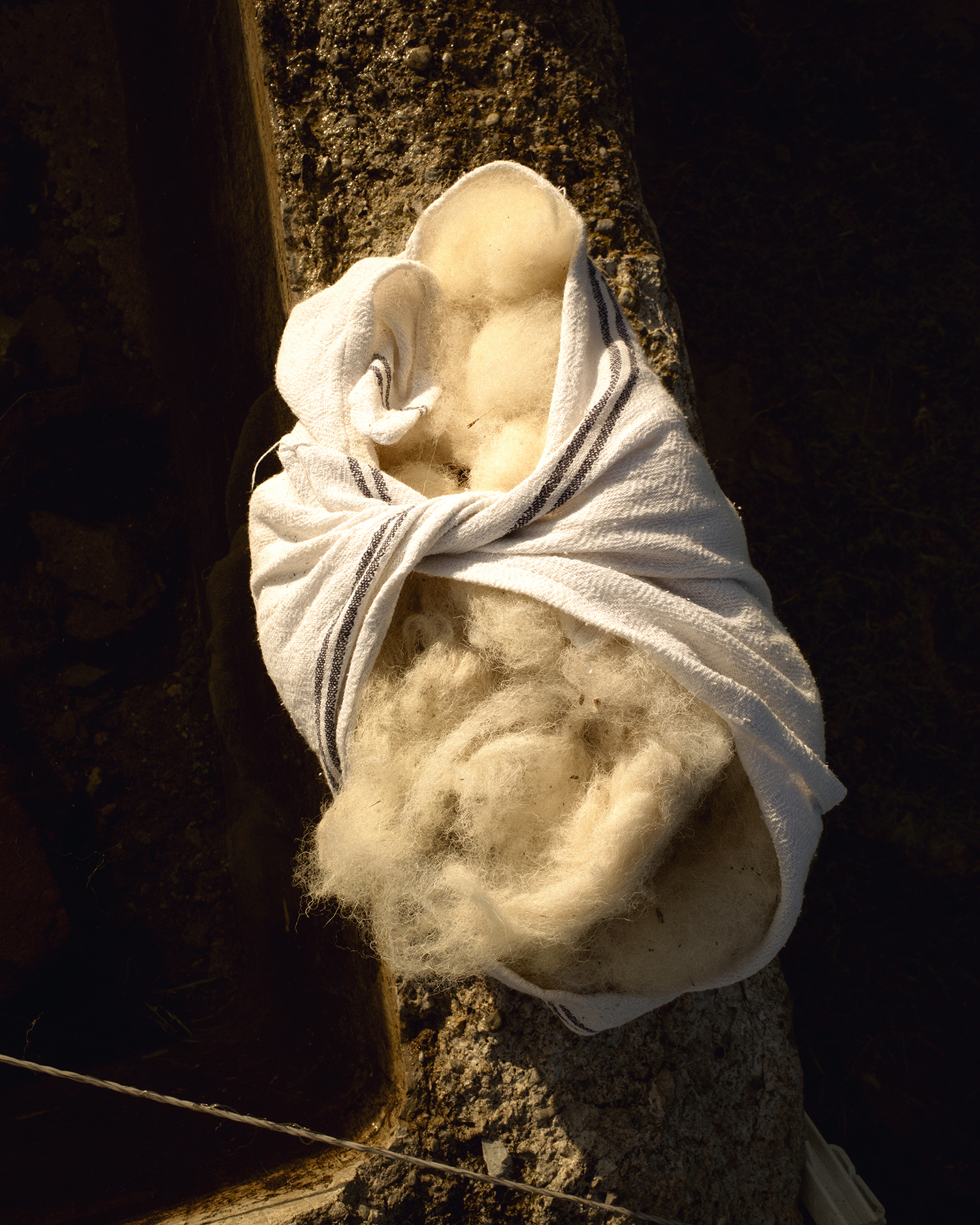 Emilia Felting