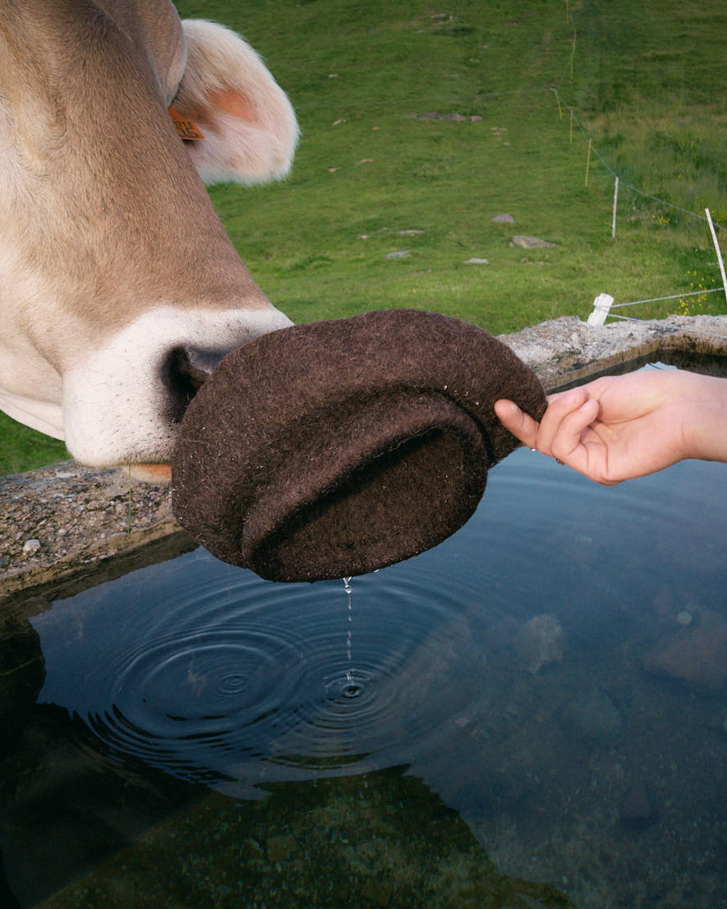 Emilia Felting
