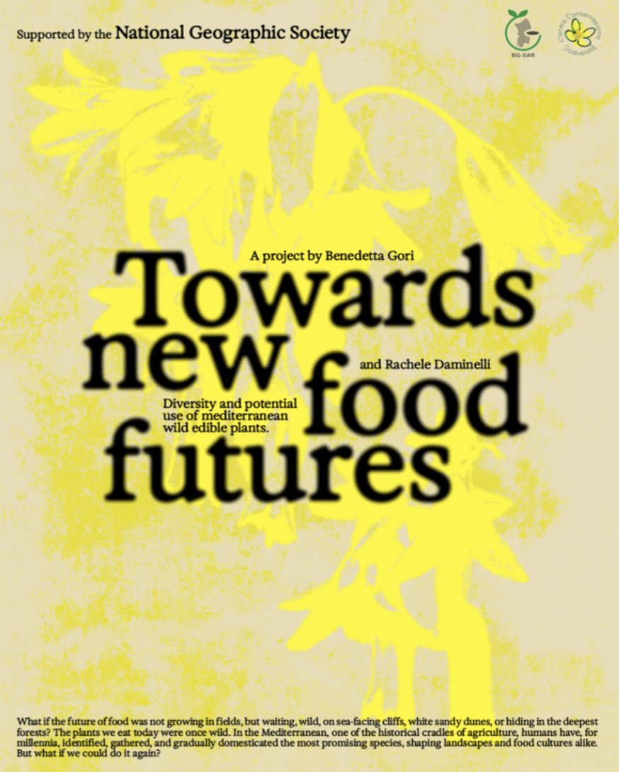 Towards New Food Futures