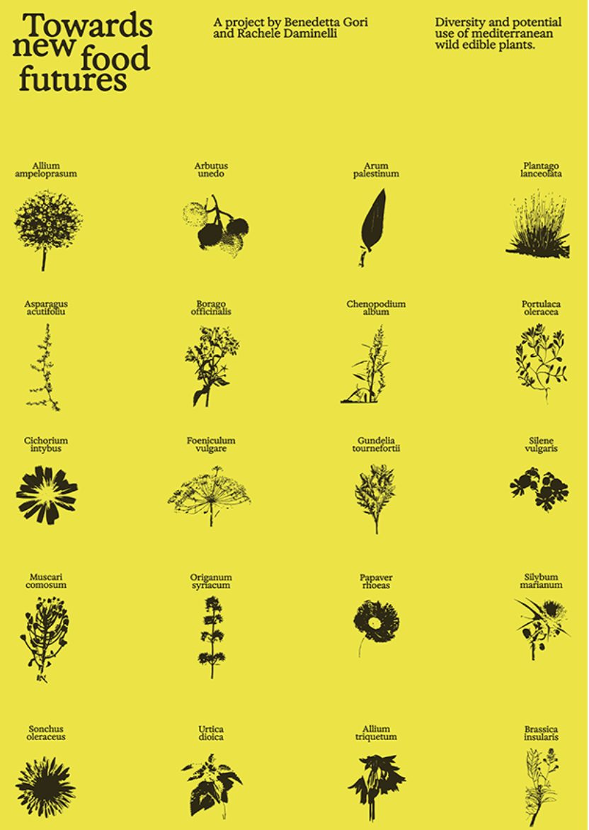 Towards New Food Futures