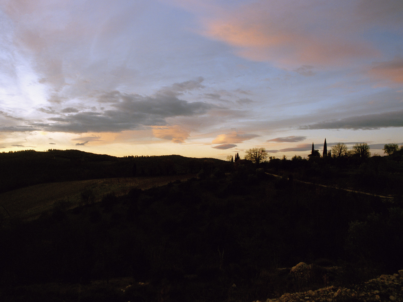 The Lissome