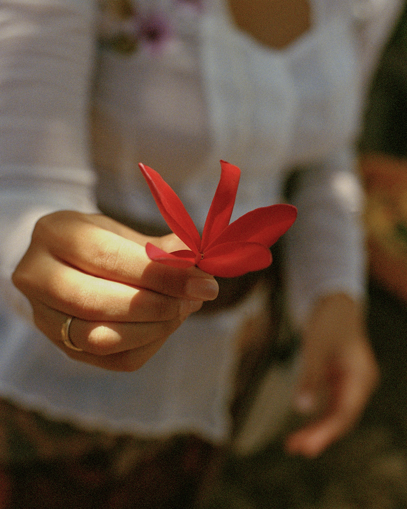 Bunga Blossoms of Devotion