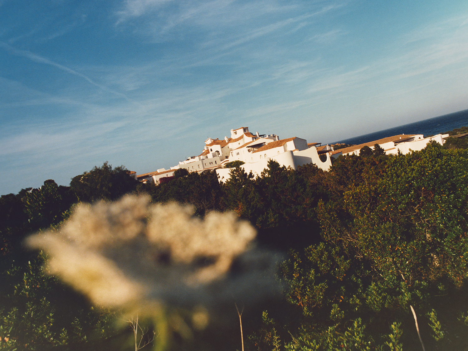 Belmond