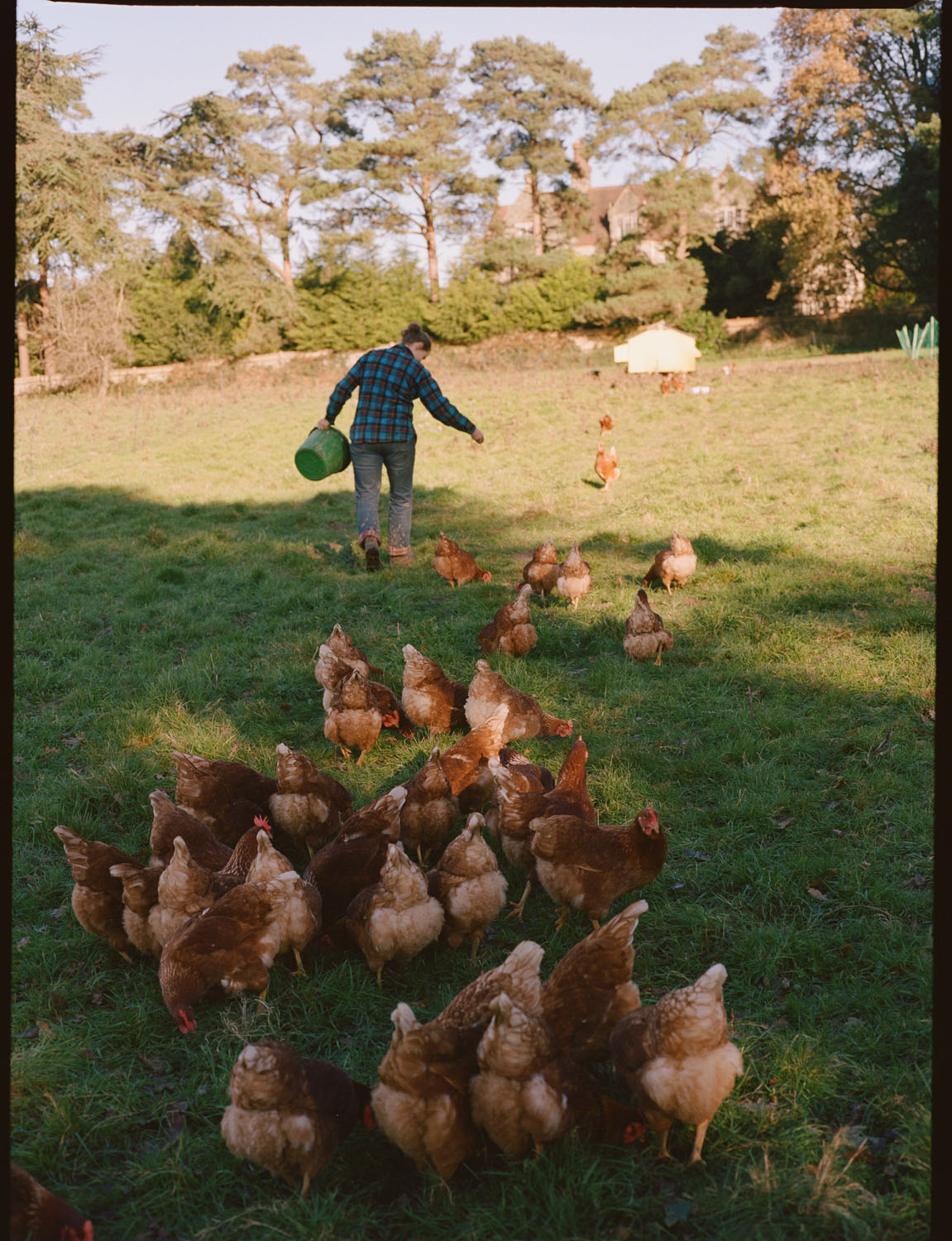 FT How to Spend It | Plaw Hatch Farm