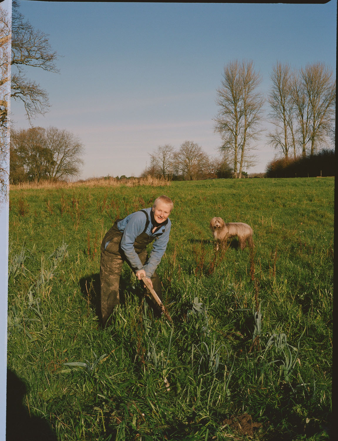 FT How to Spend It | Plaw Hatch Farm