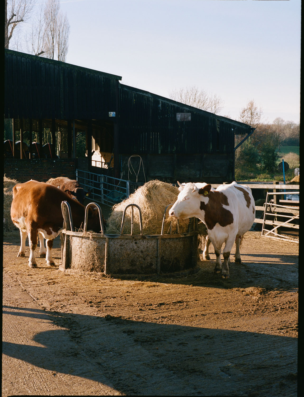 FT How to Spend It | Plaw Hatch Farm