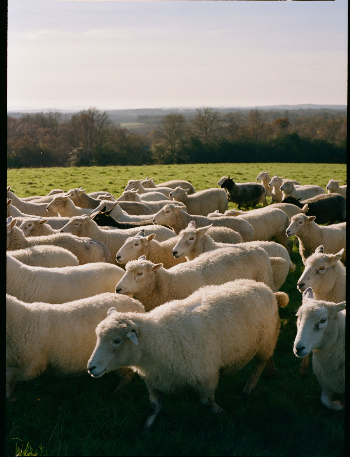 FT How to Spend It | Plaw Hatch Farm