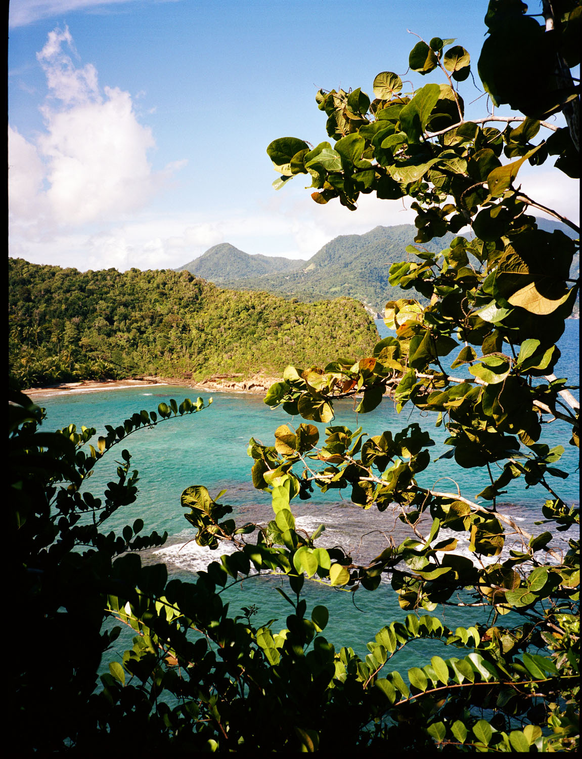 Dominica