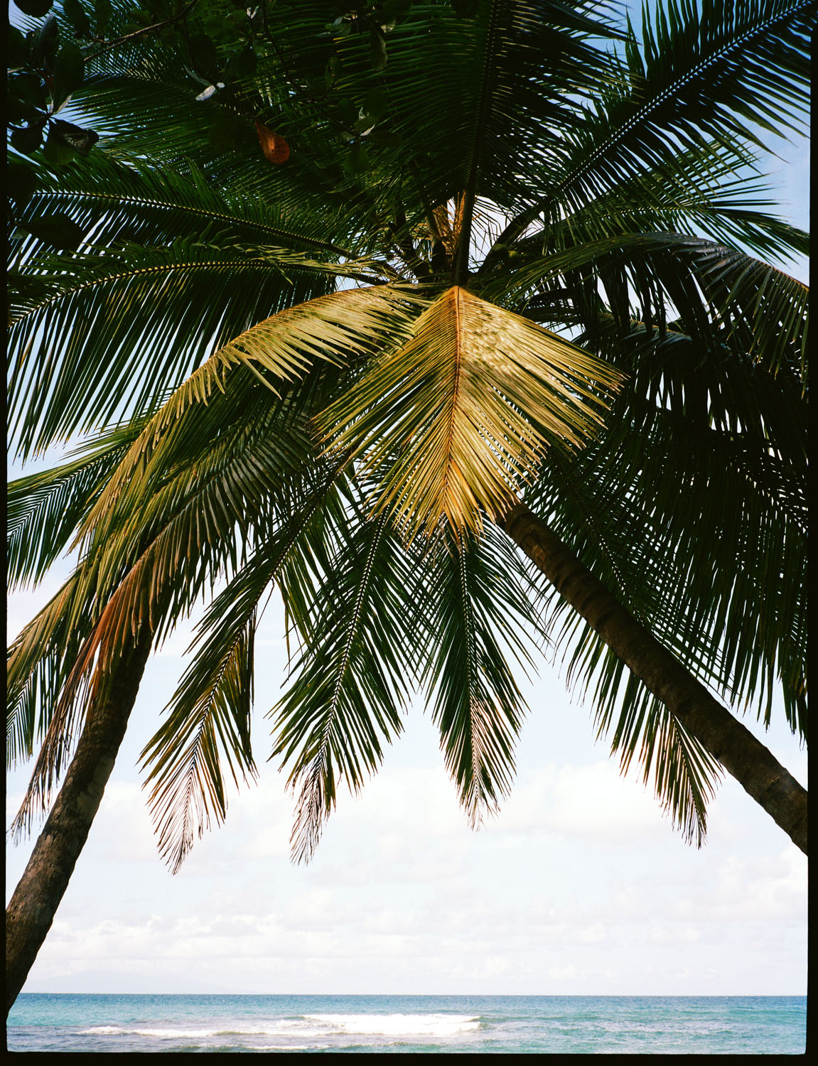 Dominica
